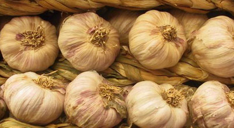 Yeongdong's Garlic