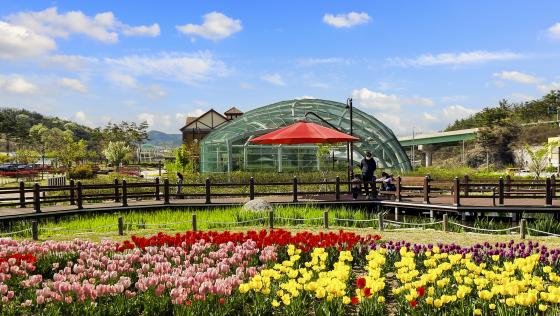 과일나라 테마공원 봄사진 공모전 장려상!_꽃 정원 게시글의 1 번째 이미지