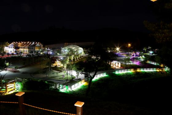 과일나라 테마공원 봄사진 공모전 장려상!_형형색색 빛들의 향연 이미지