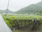 봉현리마을전경사진 이미지