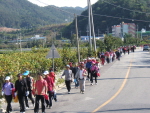 2009년 들국화꽃길 건강걷기 대회 이미지