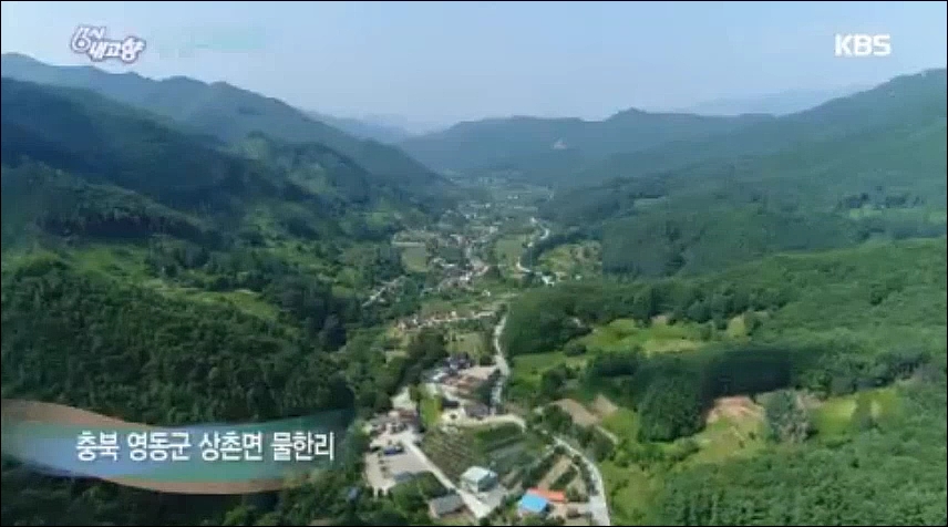 KBS 6시 내고향 영동군편(7월 25일 방송) 이미지