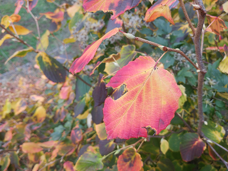 가을소풍-4 이미지