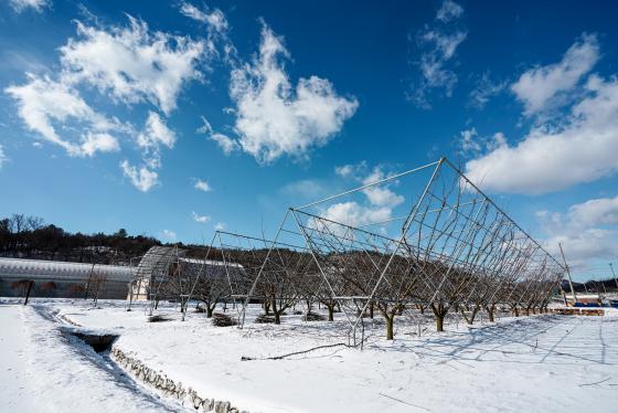 과일나라테마공원의 겨울(자두원) 게시글의 1 번째 이미지